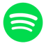Icon 1